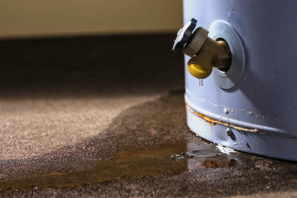 Best Local water damage restoration  in Crete, IL