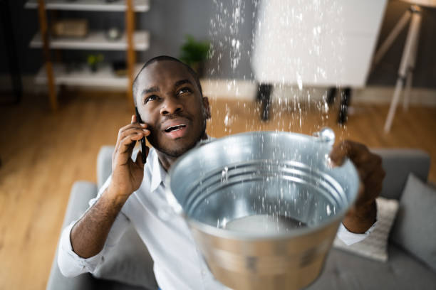 Best Flood damage cleanup  in Crete, IL