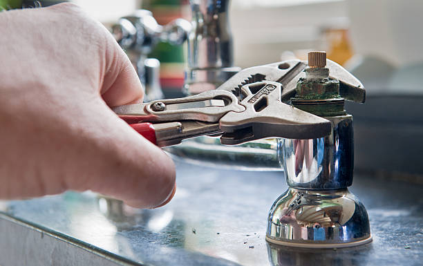 Best 24/7 water damage repair  in Crete, IL