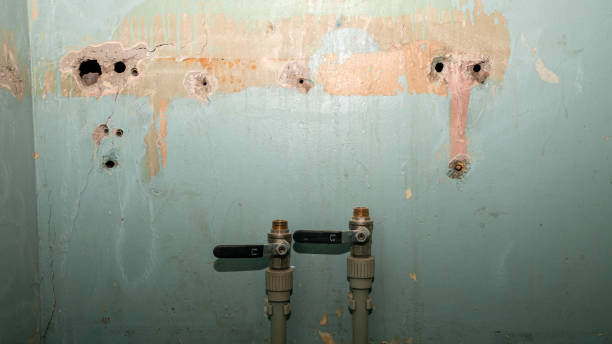 Best Carpet water damage restoration  in Crete, IL