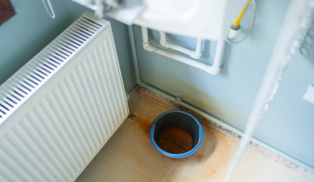 Best Residential water damage restoration  in Crete, IL