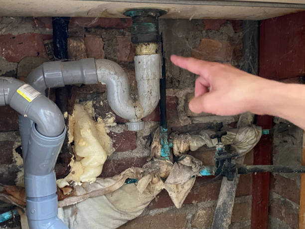 Best 24-hour water damage restoration  in Crete, IL