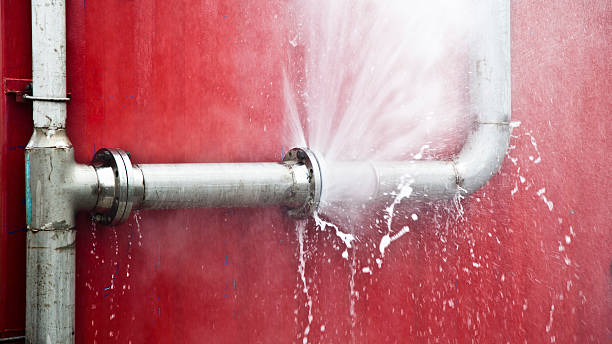 Best Professional water damage repair  in Crete, IL